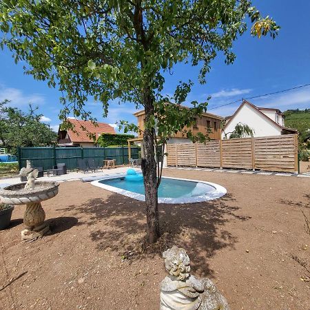 Apartamento Au Coeur Des Vignes Bergheim Exterior foto