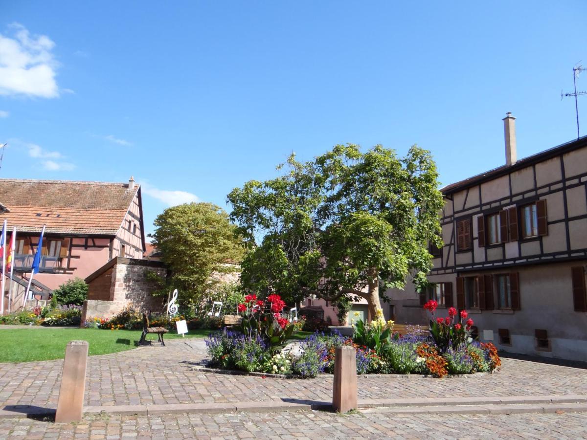 Apartamento Au Coeur Des Vignes Bergheim Exterior foto