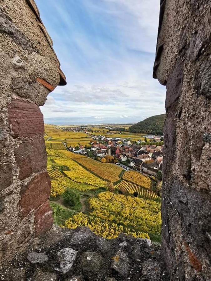 Apartamento Au Coeur Des Vignes Bergheim Exterior foto